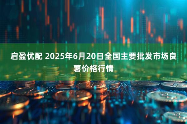 启盈优配 2025年6月20日全国主要批发市场良薯价格行情