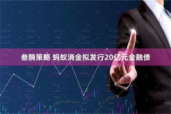叁酶策略 蚂蚁消金拟发行20亿元金融债